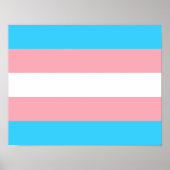 Transgender Flag Print, Value Poster Paper (Matte) (Vorne)