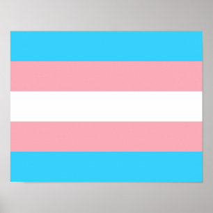Transgender Flag Print, Value Poster Paper (Matte)