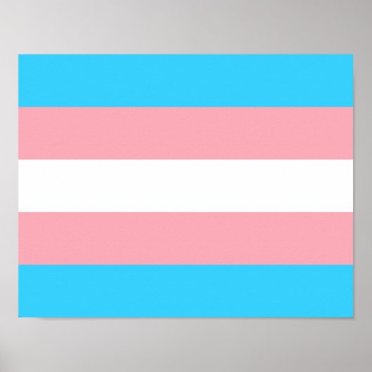 Transgender Flag Print, Value Poster Paper (Matte) (Vorne)