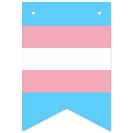 Transgender-Flag & Prix-Community/Geschlechterflag Wimpelkette (Zweite Fahne)