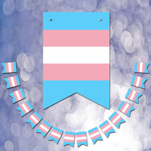 Transgender-Flag & Prix-Community/Geschlechterflag Wimpelkette