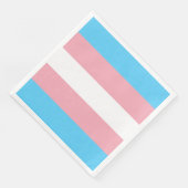 transgender flag trans lgbt lgbtq gay lesbian homo serviette (Ecke)