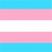 Transgender-Flagge | LGBTQIA+ Aufkleber (Vorderseite)