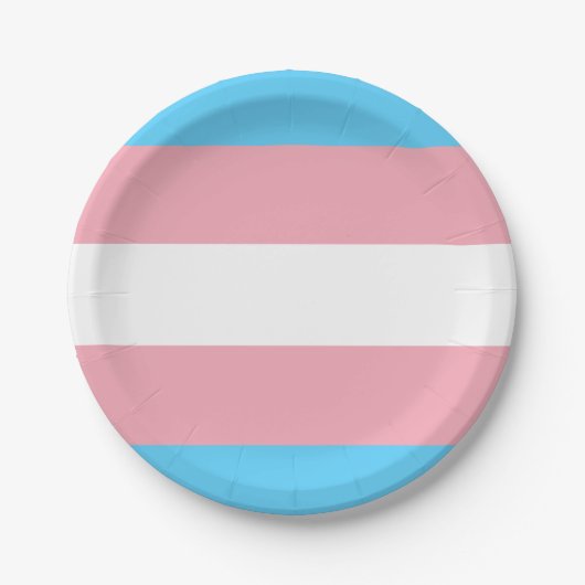 Transgender Flagge Pappteller (Vorderseite)