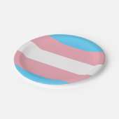Transgender Flagge Pappteller (Schrägansicht)