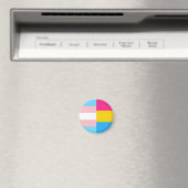 Transgender Pansexual Dual Pride Flag Magnet (In Situ (Geschirrspüler))