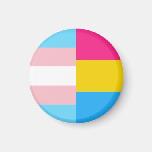 Transgender Pansexual Dual Pride Flag Magnet (Vorne)
