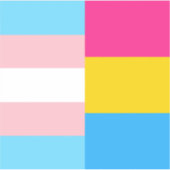 Transgender-Pansexual-Dual-Prix-Flag-Notebook Aufkleber (Vorderseite)