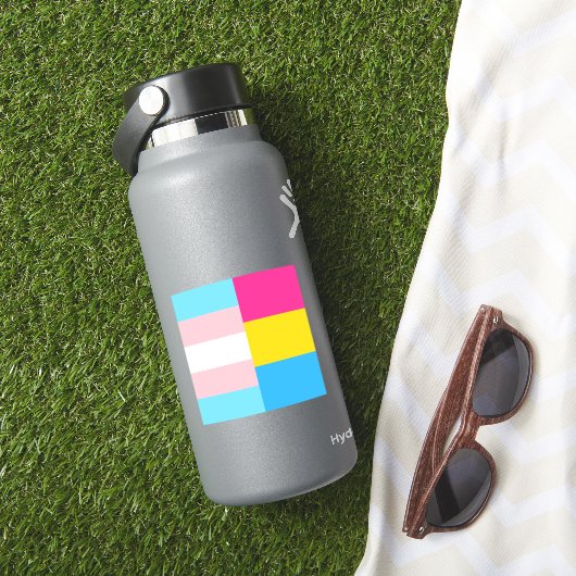 Transgender-Pansexual-Dual-Prix-Flag-Notebook Aufkleber (HydroFlask Insitu)