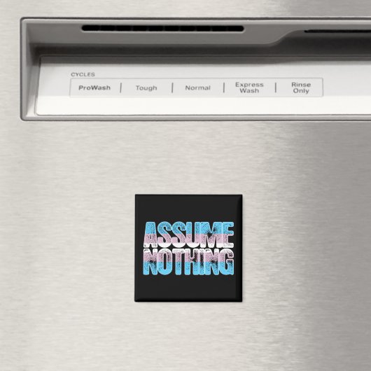 Transgender Pride Annahme Nichts Magnet (In Situ (Geschirrspüler))