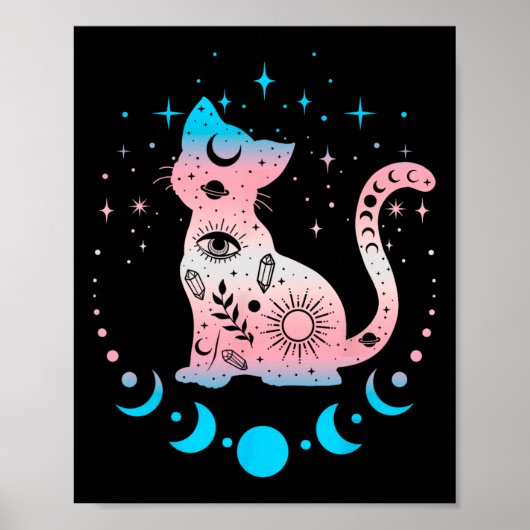 Transgender Pride Flag Colors Cat Lovers Poster (Vorne)