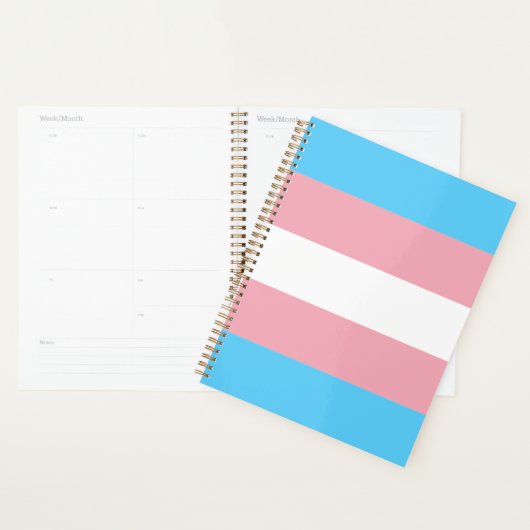 Transgender Pride Flag modern Planer (Anzeige)