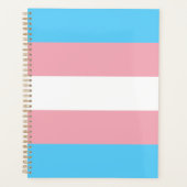 Transgender Pride Flag modern Planer (Vorderseite)