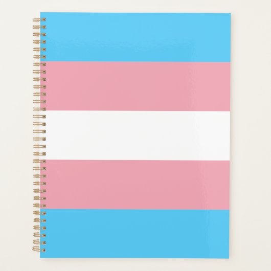 Transgender Pride Flag modern Planer (Vorderseite)