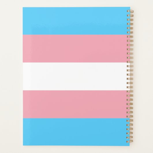 Transgender Pride Flag modern Planer (Rückseite)