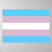 Transgender-Pride-Flag-Plakat Poster (Vorne)