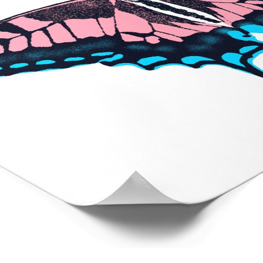 Transgender-Pride-Frack-Butterfly Poster (Ecke)