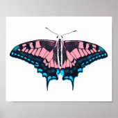 Transgender-Pride-Frack-Butterfly Poster (Vorne)
