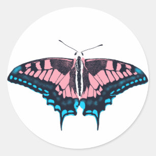 Transgender-Pride-Frack-Butterfly Runder Aufkleber
