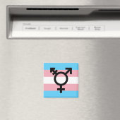 Transgender Pride Magnet (In Situ (Geschirrspüler))