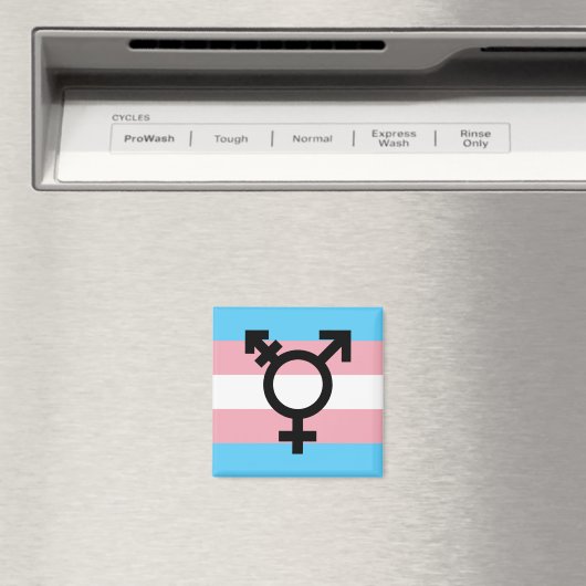 Transgender Pride Magnet (In Situ (Geschirrspüler))