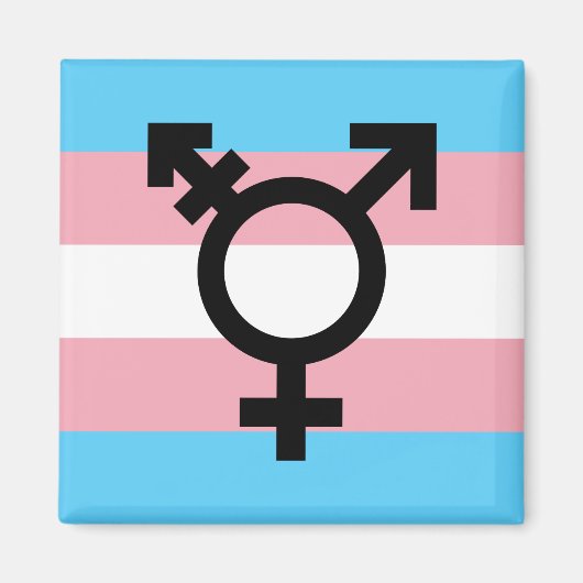 Transgender Pride Magnet (Vorne)