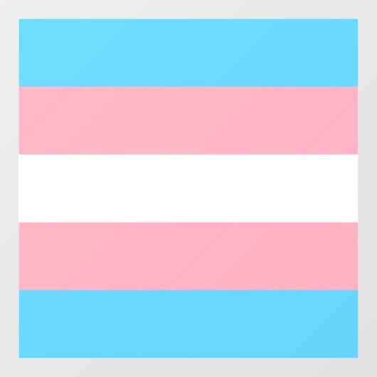 Transgender-Pride-Markierung Fensteraufkleber (Blatt)