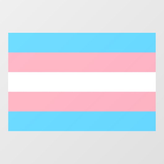 Transgender-Pride-Markierung Fensteraufkleber (Blatt)