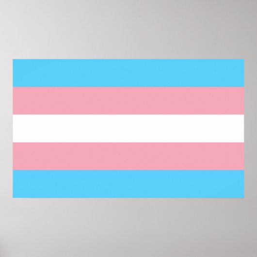 Transgender-Pride-Markierung Poster (Vorne)