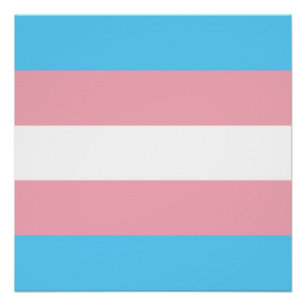 Transgender Prilag - LGBT-Regenbogen Poster