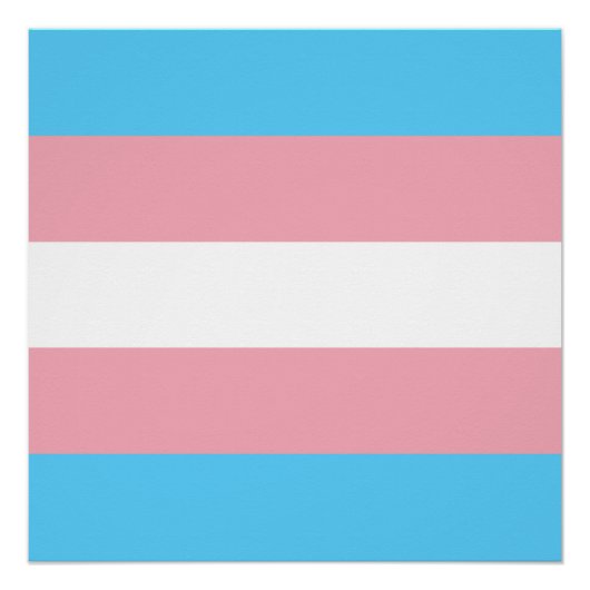 Transgender Prilag - LGBT-Regenbogen Poster (Vorderseite)