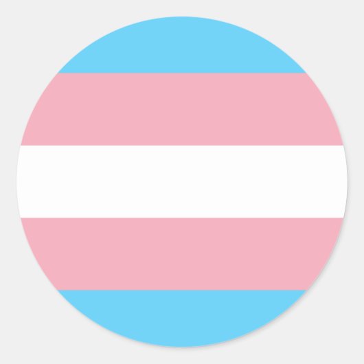 Transgender Prilag - LGBT Trans Rainbow Runder Aufkleber (Vorderseite)