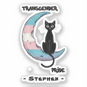 Transgender Prix - Schwarze Katze auf dem Trans Fl Aufkleber