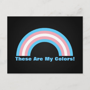Transgender Regenbogen Stolz Postkarte