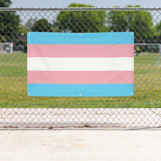 Transgender-Stolz Banner (Insitu)