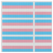 Transgender-Stolz-Flagge Stoff (Nahaufnahme)