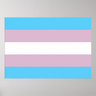 Transgender-Stolz-Flaggen-Plakat Poster