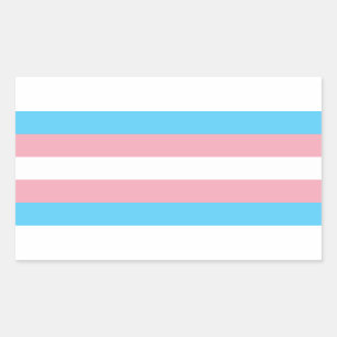 Transgender-Stolz-Rechteck-Aufkleber Rechteckiger Aufkleber