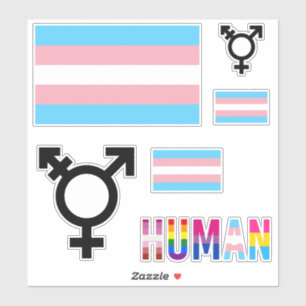 Transgender-Stolzflagge-Aufkleber Aufkleber