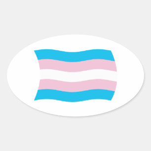 Transgender-Stolzflagge-Aufkleber Ovaler Aufkleber