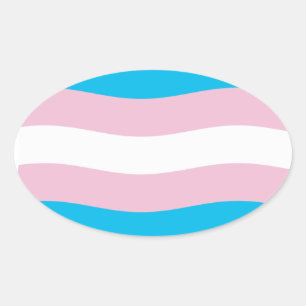 Transgender-Stolzflagge-Aufkleber Ovaler Aufkleber