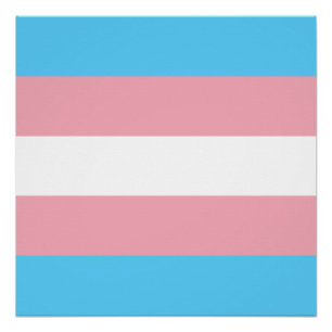Transgender-Stolzflagge Poster
