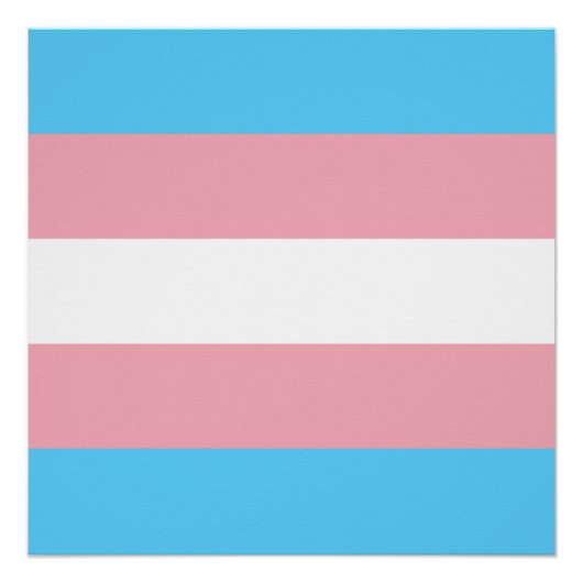 Transgender-Stolzflagge Poster (Vorderseite)