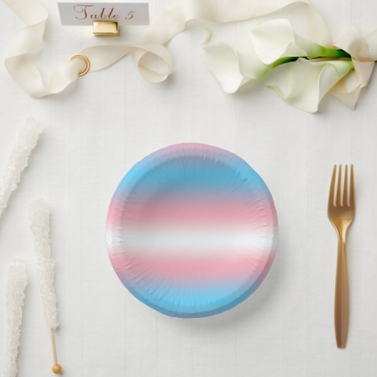 Transgender-Stolzflaggen-Musterdesign Pappteller (Hochzeit)