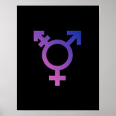 Transgender-Symbol Poster (Vorne)