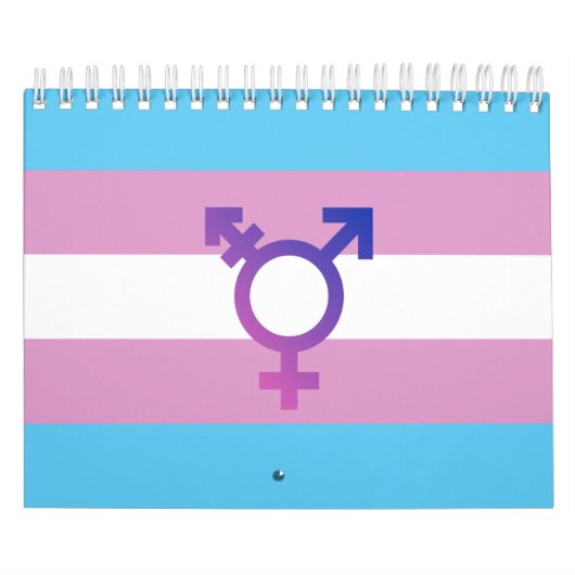 Transgender-Wert und Symbol Kalender (Titelbild)