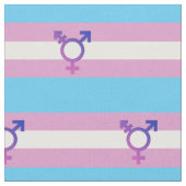 Transgender-Wert und Symbol Stoff (Nahaufnahme)