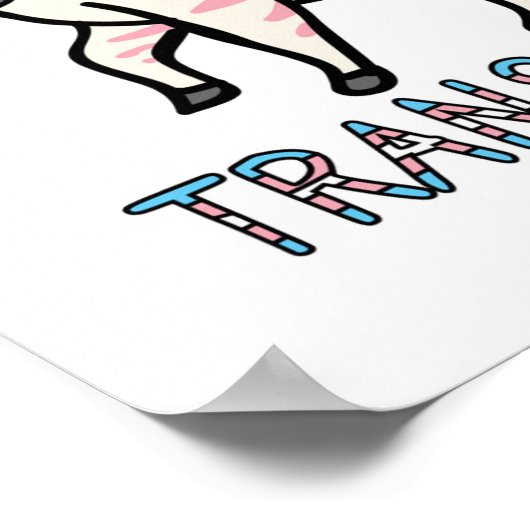 Transgender Zebra Poster (Ecke)