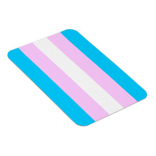 Transgenderflaggenmagnet Magnet