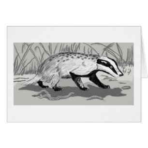 Transkaukasische Badger (Meles meles Canescens)